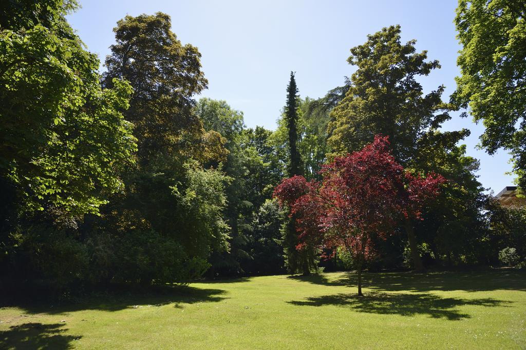 Le Chateau D'Hermonville B&B / Chambres D'Hotes Exterior foto